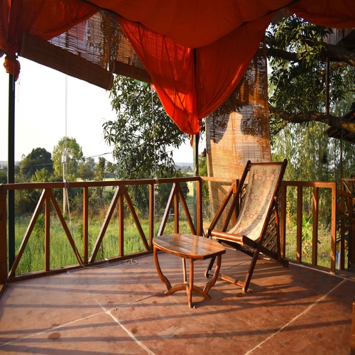 Tiso Tree House Tiso Tree House